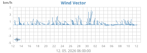 Wind Vector