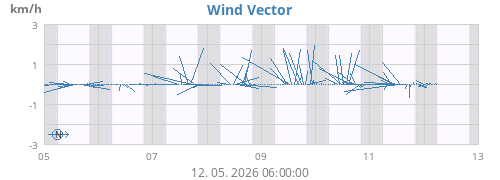 Wind Vector